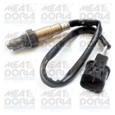 Oxygen Sensor